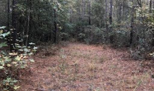 Photo #3 of SOLD property in Off Harrell Road, Burgaw, NC 35.0 acres