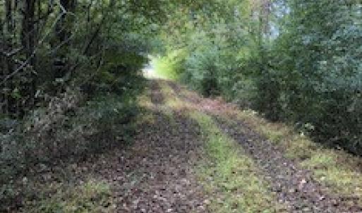 Photo #2 of SOLD property in Off Harrell Road, Burgaw, NC 35.0 acres