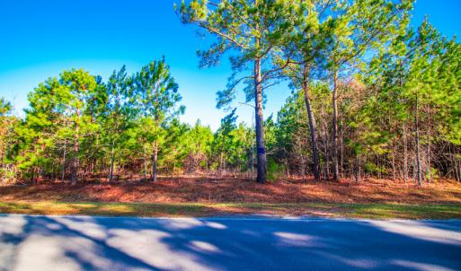 Photo #9 of SOLD property in Off Old Land Fill Road, Vanceboro, NC 15.3 acres