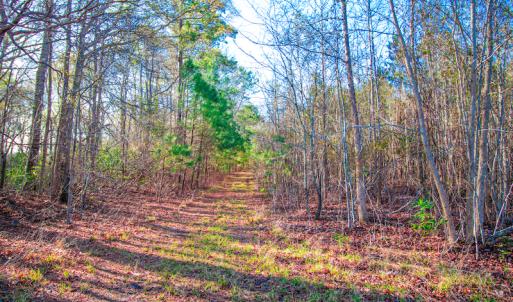 Photo #11 of SOLD property in Off Old Land Fill Road, Vanceboro, NC 15.3 acres