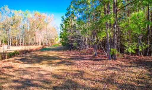 Photo #12 of SOLD property in Off Old Land Fill Road, Vanceboro, NC 15.3 acres
