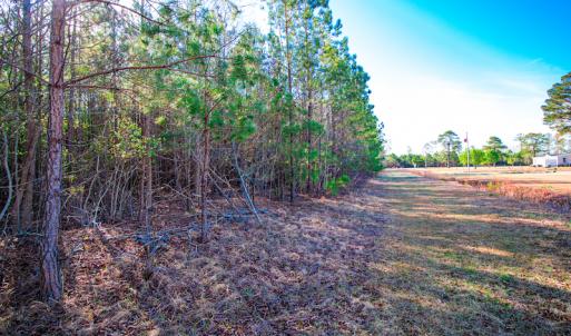 Photo #14 of SOLD property in Off Old Land Fill Road, Vanceboro, NC 15.3 acres