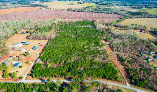 Photo #3 of SOLD property in Off Old Land Fill Road, Vanceboro, NC 15.3 acres