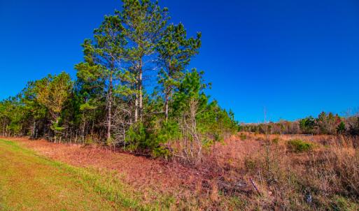 Photo #9 of SOLD property in Off Old Land Fill Road, Vanceboro, NC 15.3 acres