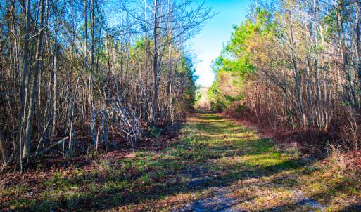 Photo #12 of SOLD property in Off Old Land Fill Road, Vanceboro, NC 15.3 acres