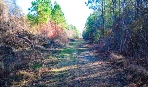 Photo #13 of SOLD property in Off Old Land Fill Road, Vanceboro, NC 15.3 acres