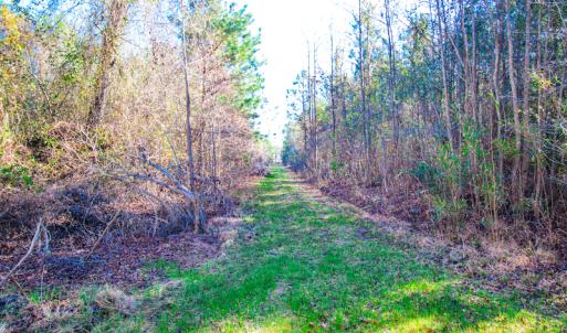 Photo #15 of SOLD property in Off Old Land Fill Road, Vanceboro, NC 15.3 acres