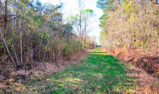Photo #16 of SOLD property in Off Old Land Fill Road, Vanceboro, NC 15.3 acres