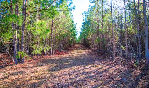 Photo #17 of SOLD property in Off Old Land Fill Road, Vanceboro, NC 15.3 acres