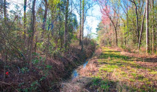 Photo #18 of SOLD property in Off Old Land Fill Road, Vanceboro, NC 15.3 acres