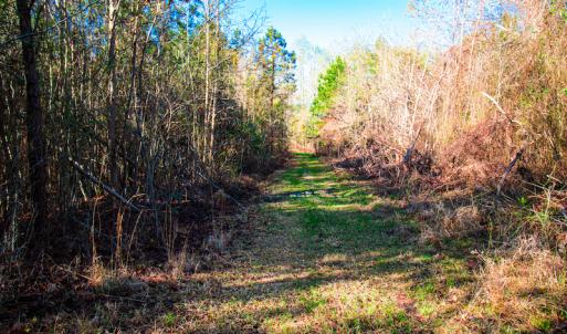Photo #19 of SOLD property in Off Old Land Fill Road, Vanceboro, NC 15.3 acres