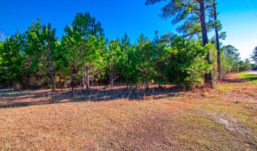 Photo #22 of SOLD property in Off Old Land Fill Road, Vanceboro, NC 15.3 acres