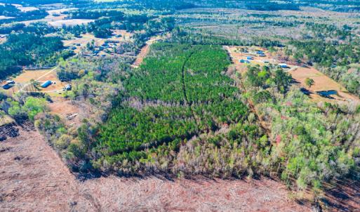 Photo #4 of SOLD property in Off Old Land Fill Road, Vanceboro, NC 15.3 acres