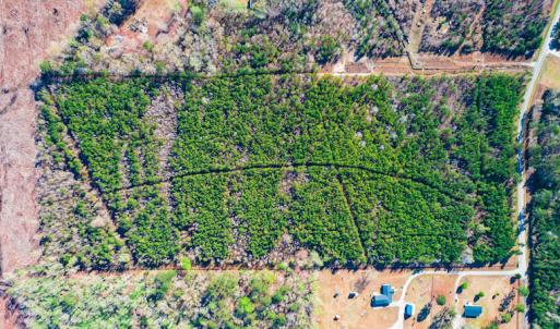 Photo #8 of SOLD property in Off Old Land Fill Road, Vanceboro, NC 15.3 acres