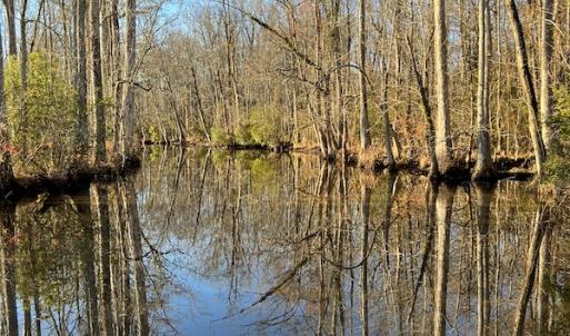 Photo #14 of SOLD property in 234 Burnt Mill Road, Edenton, NC 24.6 acres