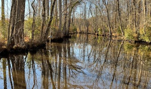Photo #15 of SOLD property in 234 Burnt Mill Road, Edenton, NC 24.6 acres