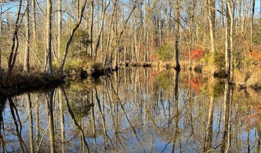 Photo #16 of SOLD property in 234 Burnt Mill Road, Edenton, NC 24.6 acres