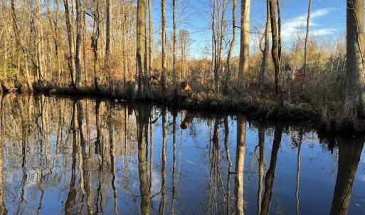 Photo #17 of SOLD property in 234 Burnt Mill Road, Edenton, NC 24.6 acres