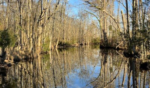 Photo #18 of SOLD property in 234 Burnt Mill Road, Edenton, NC 24.6 acres