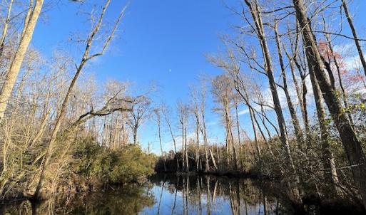 Photo #19 of SOLD property in 234 Burnt Mill Road, Edenton, NC 24.6 acres