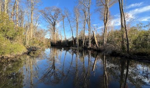 Photo #20 of SOLD property in 234 Burnt Mill Road, Edenton, NC 24.6 acres
