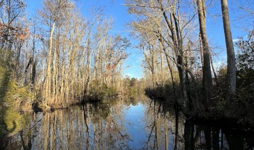 Photo #21 of SOLD property in 234 Burnt Mill Road, Edenton, NC 24.6 acres