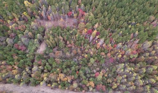 Photo #9 of SOLD property in Off Beamon Hunt Road, Warrenton, NC 11.0 acres