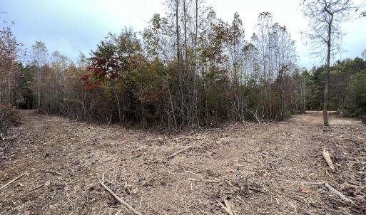 Photo #15 of SOLD property in Off Beamon Hunt Road, Warrenton, NC 11.0 acres