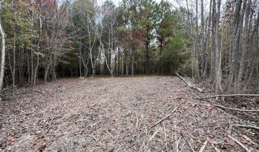 Photo #16 of SOLD property in Off Beamon Hunt Road, Warrenton, NC 11.0 acres