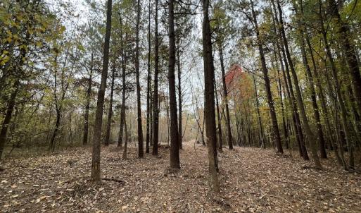 Photo #18 of SOLD property in Off Beamon Hunt Road, Warrenton, NC 11.0 acres
