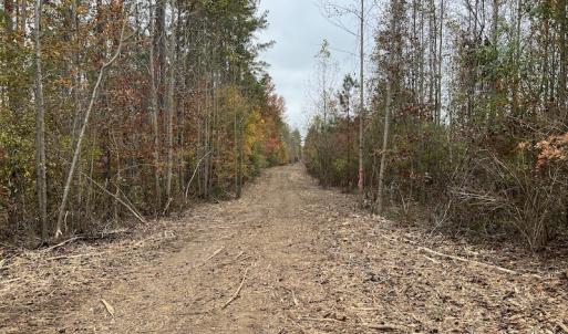 Photo #20 of SOLD property in Off Beamon Hunt Road, Warrenton, NC 11.0 acres