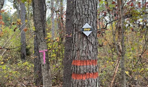 Photo #21 of SOLD property in Off Beamon Hunt Road, Warrenton, NC 11.0 acres