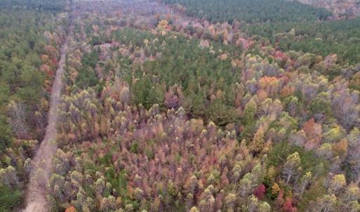 Photo #3 of SOLD property in Off Beamon Hunt Road, Warrenton, NC 11.0 acres
