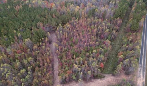 Photo #4 of SOLD property in Off Beamon Hunt Road, Warrenton, NC 11.0 acres