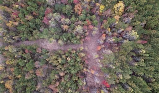 Photo #6 of SOLD property in Off Beamon Hunt Road, Warrenton, NC 11.0 acres