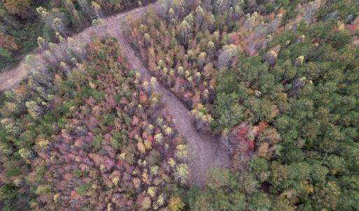 Photo #8 of SOLD property in Off Beamon Hunt Road, Warrenton, NC 11.0 acres