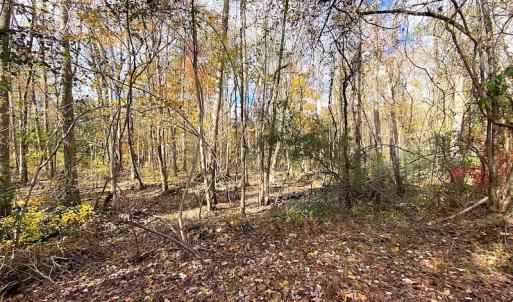 Photo #23 of SOLD property in 1714 Colonial Ave, Suffolk, VA 1.0 acres