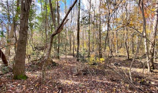Photo #24 of SOLD property in 1714 Colonial Ave, Suffolk, VA 1.0 acres