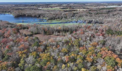 Photo #3 of SOLD property in 1629 Virginia Road, Edenton, NC 50.0 acres