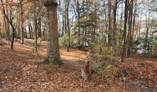 Photo #25 of SOLD property in 1629 Virginia Road, Edenton, NC 50.0 acres