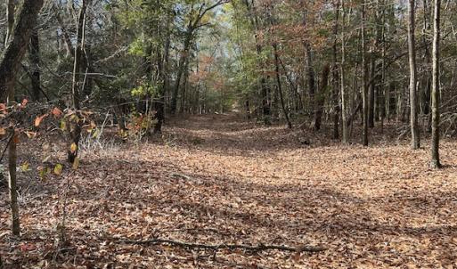Photo #21 of SOLD property in 1629 Virginia Road, Edenton, NC 50.0 acres