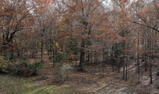 Photo #20 of SOLD property in 1629 Virginia Road, Edenton, NC 50.0 acres