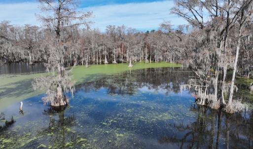 Photo #8 of SOLD property in 1629 Virginia Road, Edenton, NC 50.0 acres