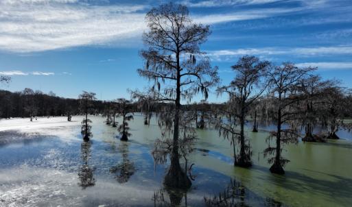 Photo #9 of SOLD property in 1629 Virginia Road, Edenton, NC 50.0 acres