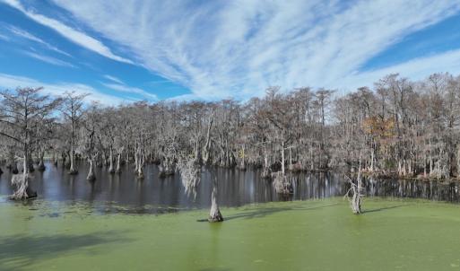 Photo #10 of SOLD property in 1629 Virginia Road, Edenton, NC 50.0 acres