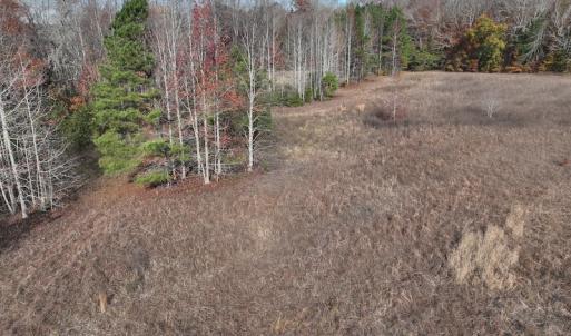 Photo #15 of SOLD property in 1629 Virginia Road, Edenton, NC 50.0 acres
