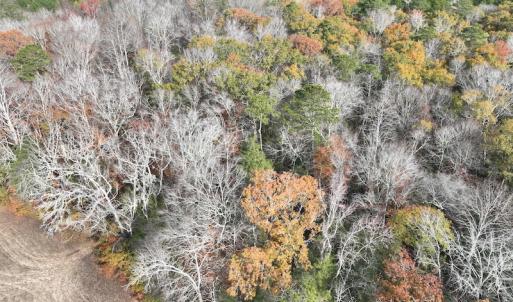 Photo #13 of SOLD property in 1629 Virginia Road, Edenton, NC 50.0 acres