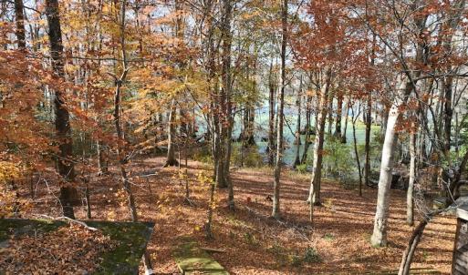 Photo #22 of SOLD property in 1629 Virginia Road, Edenton, NC 50.0 acres