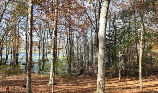 Photo #23 of SOLD property in 1629 Virginia Road, Edenton, NC 50.0 acres