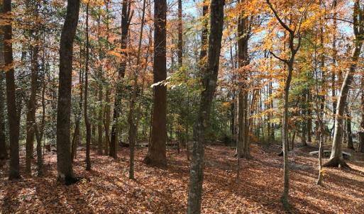 Photo #24 of SOLD property in 1629 Virginia Road, Edenton, NC 50.0 acres
